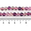 Natural Fluorite Beads Strands G-P530-B09-02-5