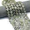 Natural Labradorite Beads Strands G-P573-C07-01-1