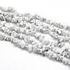 Natural Howlite Beads Strands X-G-O049-B-40-1