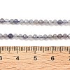 Natural Cordierite/Iolite/Dichroite Beads Strands G-B145-A04-3mm-5