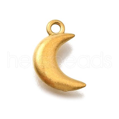304 Stainless Steel Charms STAS-D310-06G-02-1