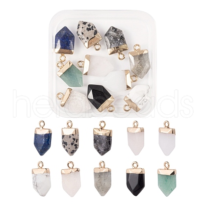 10Pcs 10 Style Natural Gemstone Pointed Pendants G-LS0002-04-1