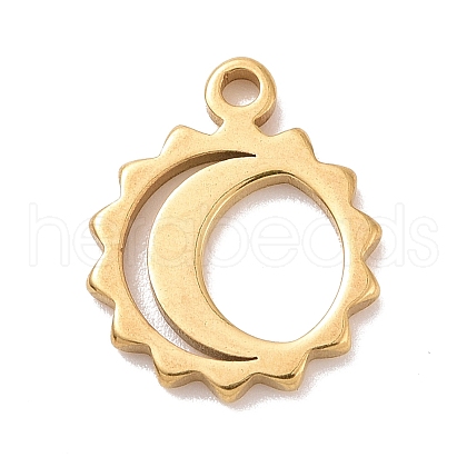 304 Stainless Steel Charms STAS-G287-08G-1