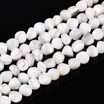 Natural Trochid Shell/Trochus Shell Beads Strands SSHEL-N040-06-1