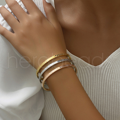 3Pcs Classic Stainless Steel Hinged Bangles for Women UP3566-1