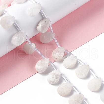 Natural Rainbow Moonstone Beads Strands G-G805-B16-1