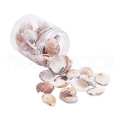 1 Box Scallop Seashells Clam Shell Dyed Beads with Holes for Craft Making 40-50pcs BSHE-YW0001-01-1