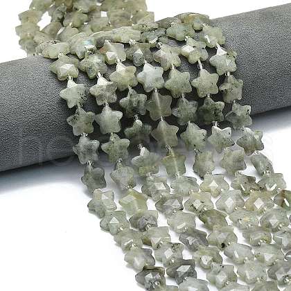 Natural Labradorite Beads Strands G-P573-C07-01-1