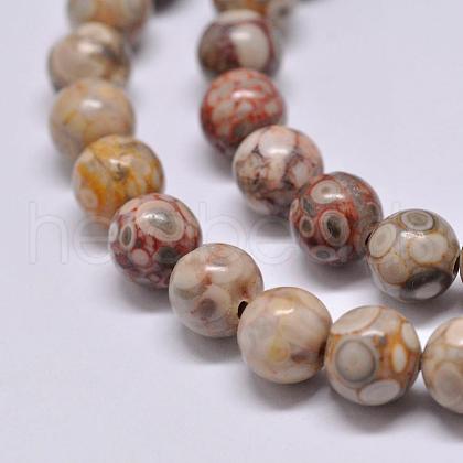 Natural Maifanite/Maifan Stone Beads Strands X-G-F353-10mm-1