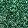 MIYUKI Round Rocailles Beads X-SEED-G007-RR0179-3