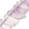 Natural Amethyst Beads Strands G-S386-D04-2