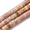 Natural Cherry Blossom Agate Beads Strands G-Z006-C48-2