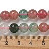 Natural Red and Green Strawberry Quartz Beads Strands G-B099-C03-04-5