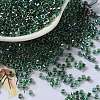 Glass Seed Beads SEED-S042-13A-18-1