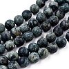 Frosted Natural Kambaba Jasper Beads Strands G-M272-14-8mm-3