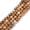 Natural Picture Jasper Beads Strands G-E571-28A-1