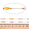 Handmade Oval Shell Beads Chains CHS-T006-17G-3