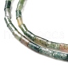 Natural Indian Agate Beads Strands G-G783-22-3