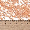 Glass Seed Beads SEED-K009-08B-02-4