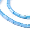 Natural Freshwater Shell Dyed Beads Strands X-SHEL-M018-11-06-3
