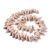 Natural Spiral Shell Beads Strands BSHE-I016-08-2