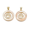 Brass Micro Pave Clear Cubic Zirconia Pendants KK-N254-189G-1