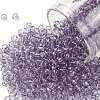 TOHO Round Seed Beads X-SEED-TR08-1300-1