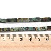 Natural African Turquoise(Jasper) Beads Strands G-G837-02-2