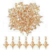 CHGCRAFT 36Pcs Alloy European Dangle Charms MPDL-CA0001-06G-7