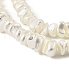 Electroplated Shell Pearl Beads Strands BSHE-M036-01A-3
