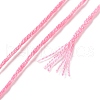 10 Skeins 6-Ply Polyester Embroidery Floss OCOR-K006-A09-3