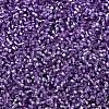 MIYUKI Delica Beads SEED-X0054-DB2168-3