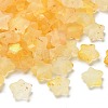 Frosted Acrylic Charms OACR-M023-04K-1
