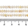 Natural Rutilated Quartz Beads Strands G-J400-C11-02-5