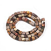 Natural Polychrome Jasper/Picasso Stone/Picasso Jasper Beads Strands G-T140-45B-2
