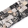Natural Map Stone Beads Strands G-T139-8x8-20A-4