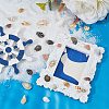 DICOSMETIC 119G 15 Styles Natural Mixed Shell Beads Sets BSHE-DC0001-01-5