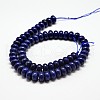 Natural Lapis Lazuli Bead Strands G-O075-04C-2