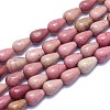 Natural Rhodonite Beads Strands G-K310-G02-1