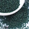 MIYUKI Round Rocailles Beads SEED-X0054-RR0338-1