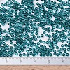 MIYUKI Round Rocailles Beads X-SEED-G007-RR2406-4