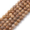 Natural Maifanite/Maifan Stone Beads Strands X-G-P451-01A-C-2