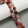 Natural Cherry Blossom Agate Beads Strands G-N342-149C-1