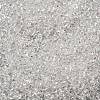 Baking Paint Glass Seed Beads SEED-P006-03A-20-3
