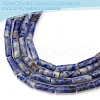 Olycraft 2 Strands Natural Blue Spot Gemstone Beads Strands G-OC0004-90-4