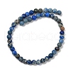 Dyed Natural Regalite/Imperial Jasper/Sea Sediment Jasper Beads Strands G-B124-C04-02-4