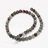Natural Bloodstone Beads Strands G-P025-21-6mm-2