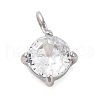 304 Stainless Steel Micro Pave Cubic Zirconia Pendants STAS-U042-02B-P-1
