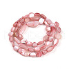 Natural White Shell Beads Strands SHEL-N036-21G-2