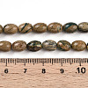 Natural Verdite Stone Beads Strands G-N346-02B-06-5